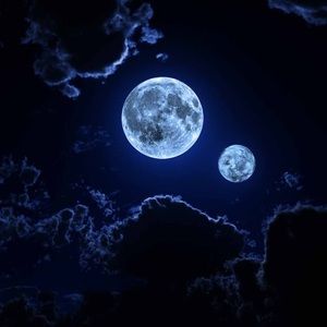 Meet your Posher, Emilyann